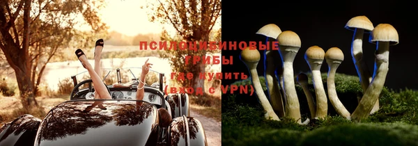 СК Белокуриха